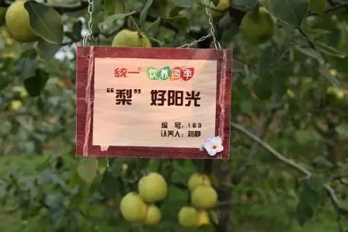 农产品网络营销概述_农产品网络营销名词解释_农产品网络营销的概念