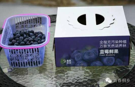 农产品网络营销名词解释_农产品网络营销的定义_农产品网络营销的概念
