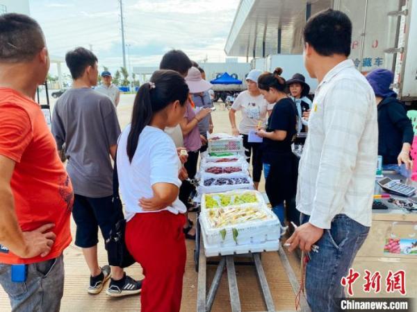 海南农交所_海南农产品交易会_海南农产品交易