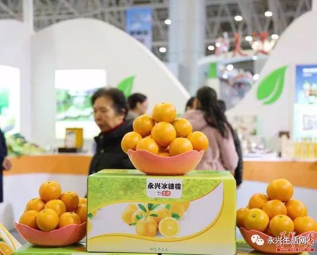 农产品展览会_农产品展会完整策划方案_展览农产品会议记录