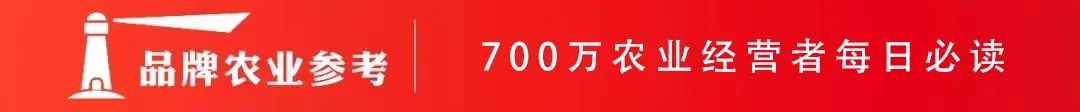 海底捞扬州产品原型店：可视化展示与高端体验的完美结合