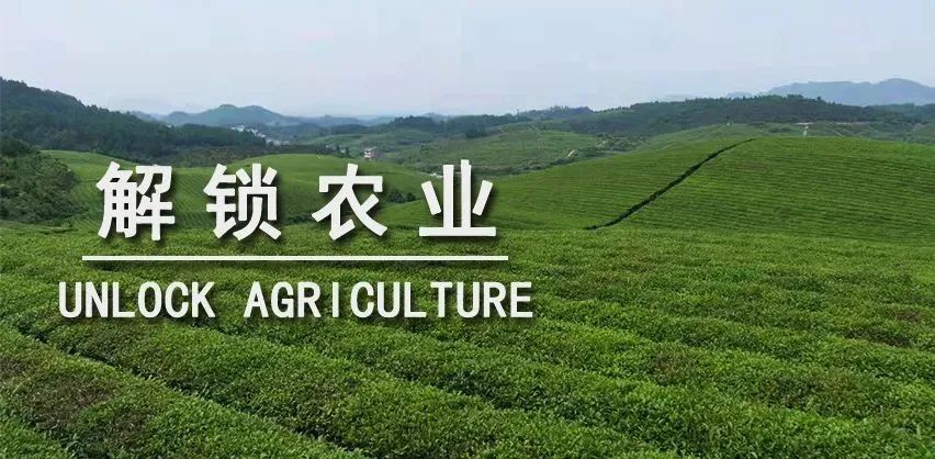 溯源农业_农产品溯源噱头_农产品溯源商