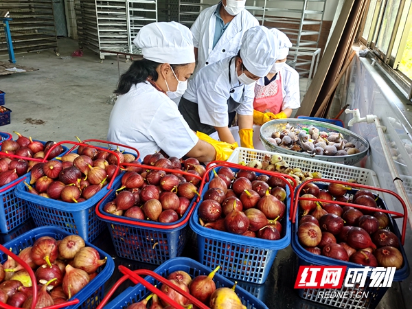 无公害农业产品_无公害农产品产地认定_无公害农产品基地