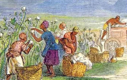 西北农林科技大学新疆农业大学_西北农副产品交易中心_新疆世纪西北农产品交易市场有限公司