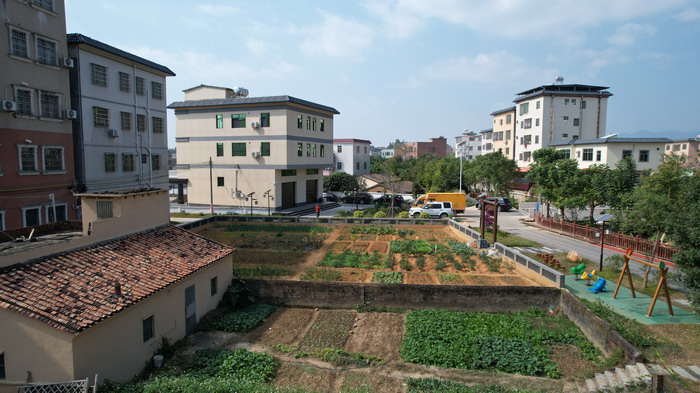 惠州市四季绿农产品有限公司_惠州四季绿农业公园怎么样_惠州四季绿农业生态园在哪里