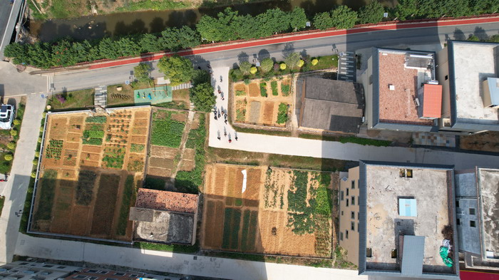 惠州市四季绿农产品有限公司_惠州四季绿农业公园怎么样_惠州四季绿农业生态园在哪里