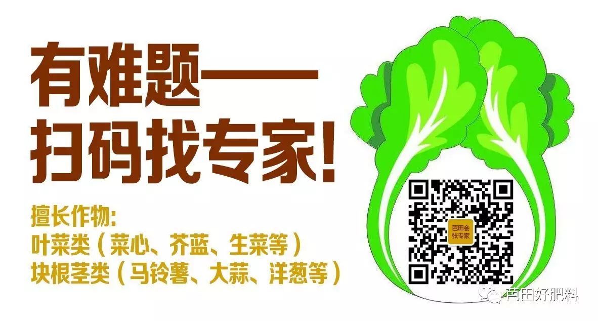农产品流通环节效率不高的例子_农产品流通效率_流通农效率产品包括哪些