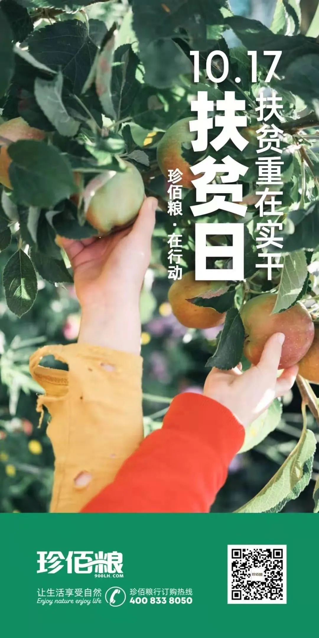 珍佰农农村电商平台_南京珍维心农产品服务有限公司_福建珍维医药科技有限公司