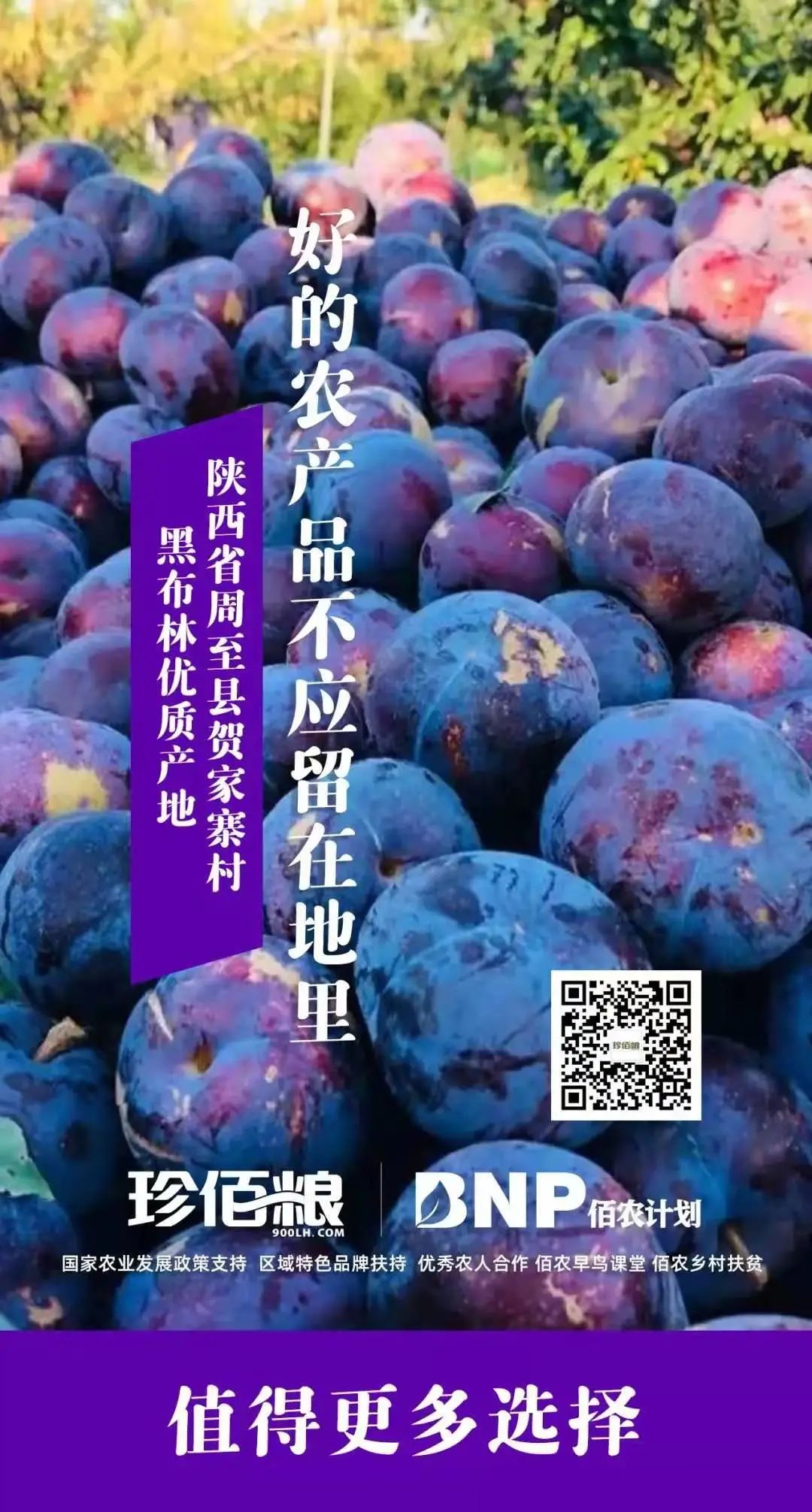 珍佰农农村电商平台_南京珍维心农产品服务有限公司_福建珍维医药科技有限公司