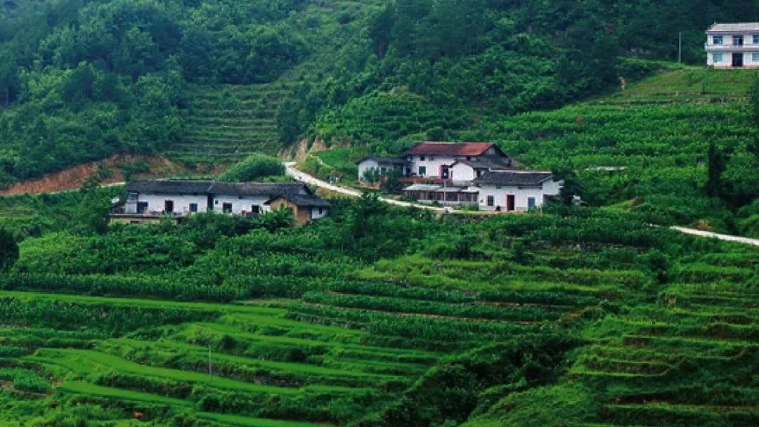 福建珍维医药科技有限公司_珍佰农农村电商平台_南京珍维心农产品服务有限公司