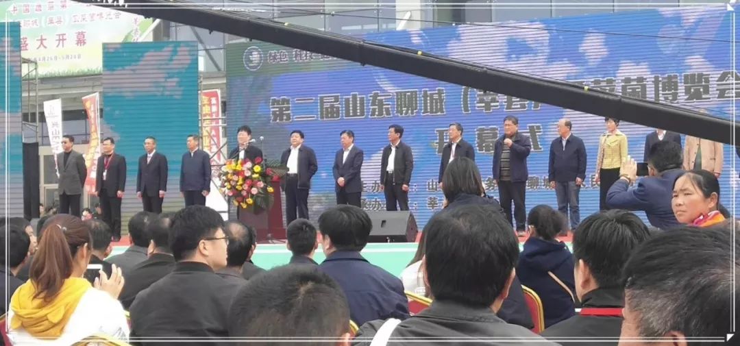 山东省供销社农业服务公司_山东省供销社农资公司_山东省供销社农产品有限公司