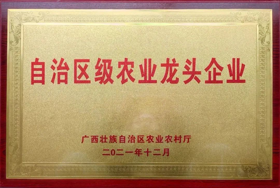 广西富硒食品_广西富硒农产品协会地址_广西富硒协会官网