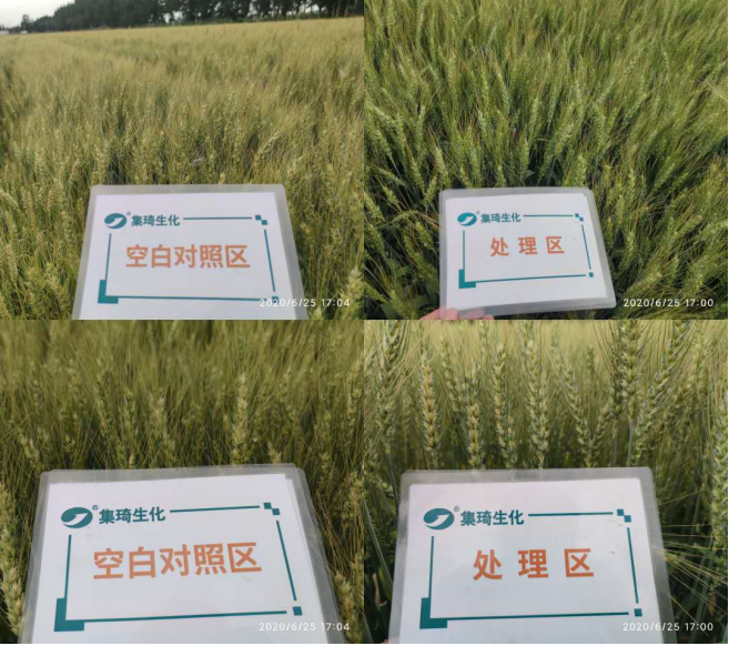 广西富硒农产品协会地址_广西富硒食品_广西富硒协会官网