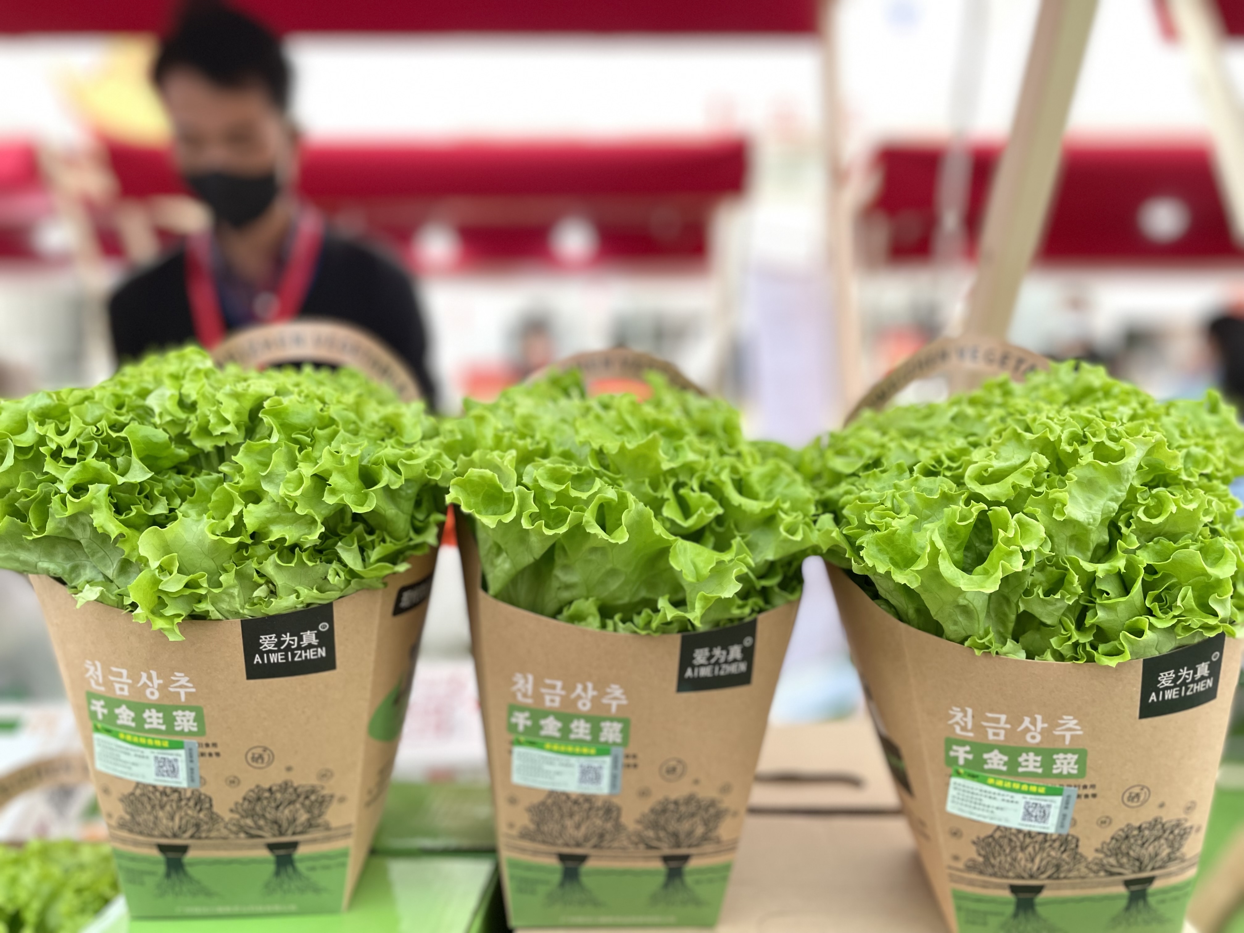 农产品质量安全参考文献_农产品质量安全论文_论文农质量安全产品怎么写