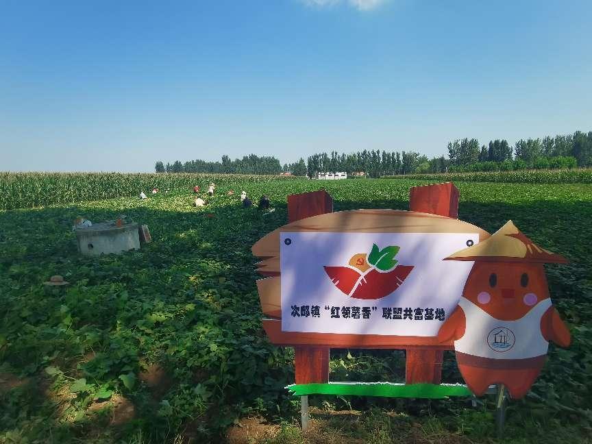 2021年农产品展会时间表_2025年农产品展览会_农业产品展览会说明什么