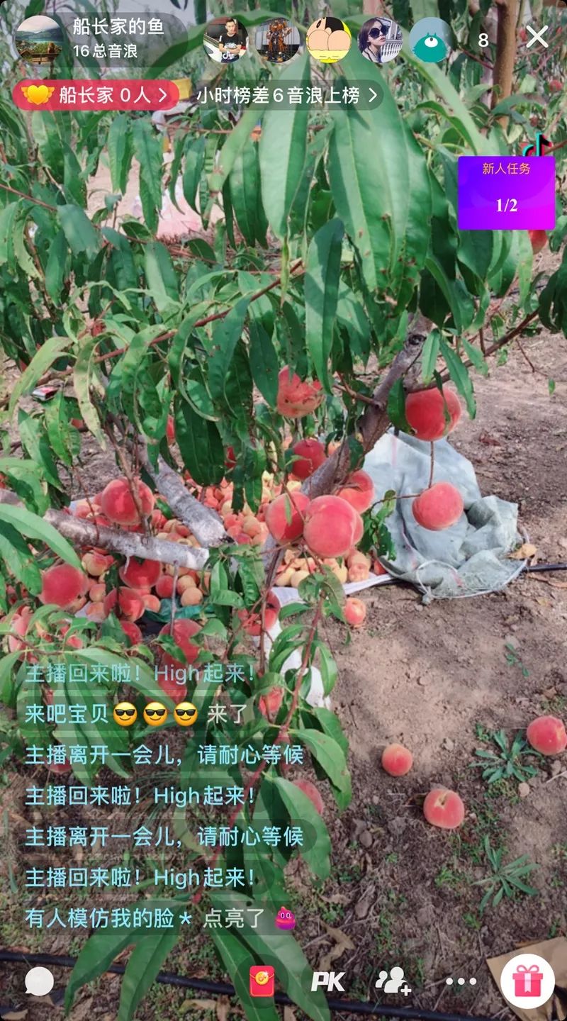淘宝开店卖农产品需要什么_淘宝开农产品店需要哪些东西_淘宝开店做农产品经验
