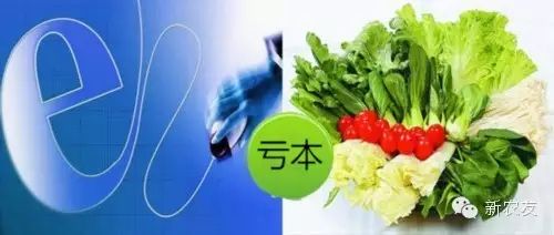 农产品电商宣传语_农产品电商广告语_农村电商的广告