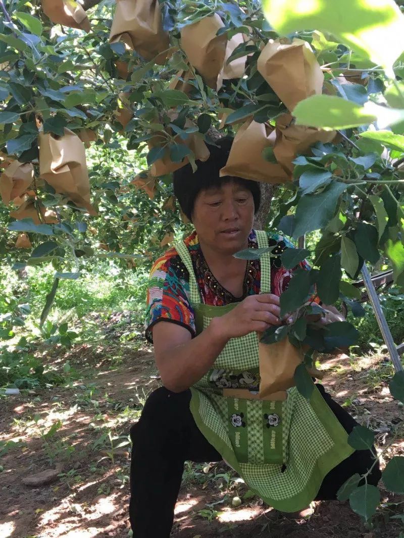 现货市场交割期_现货农产品交割流程_农产现货交易