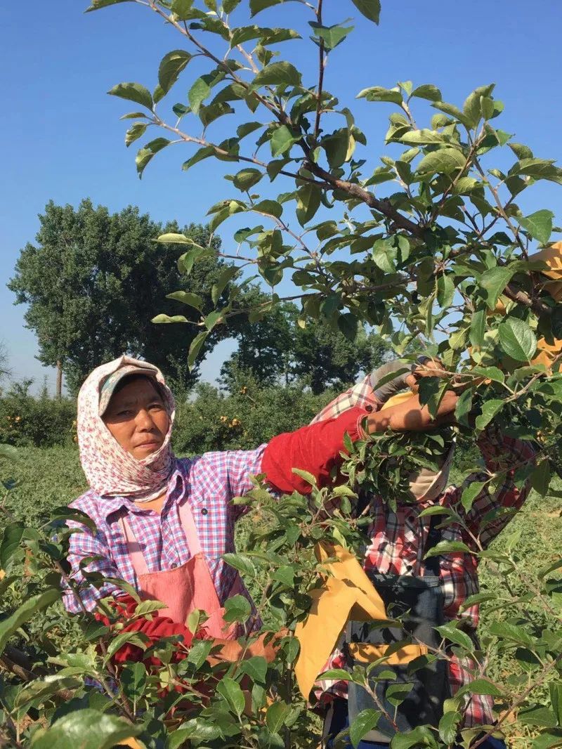 现货市场交割期_现货农产品交割流程_农产现货交易
