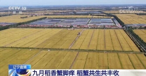 特色农产品的概念_农特色产品品尝_什么特色农产品