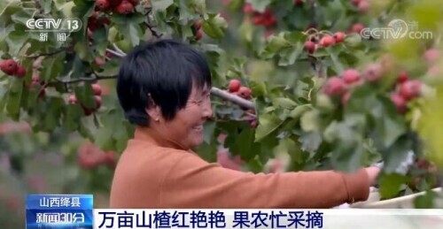 什么特色农产品_农特色产品品尝_特色农产品的概念