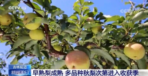 农特色产品品尝_什么特色农产品_特色农产品的概念