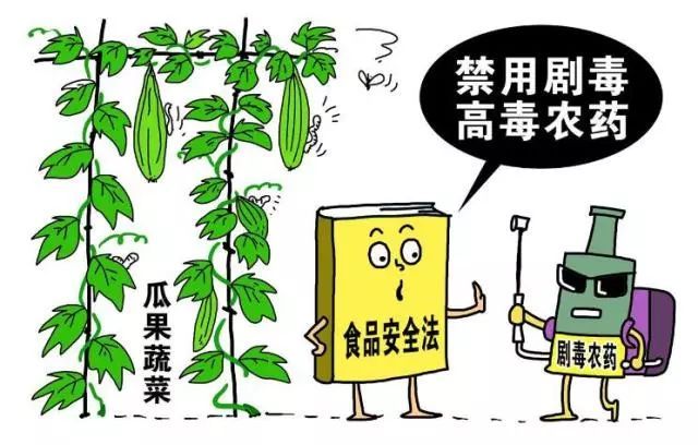 无公害农产品管理措施_农业无公害_无公害农产品生产控制措施要点