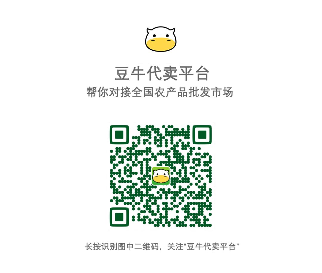 蔬菜网上批发平台_蔬菜批发网 最大的线上农产品_批发蔬菜农线网产品大全及价格