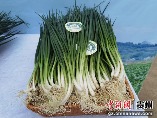 贵州蔬菜集团黔菜推介会签合作协议，多种蔬菜产销规模可观