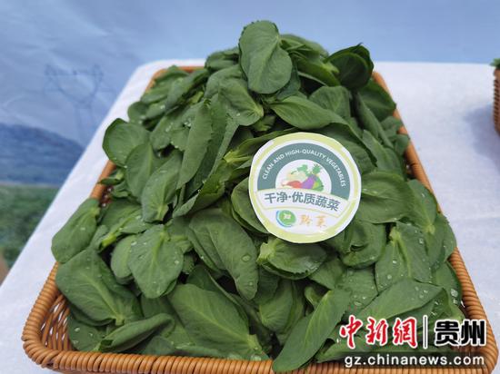贵州西部农产品_贵州西部农产品物流园_贵州农产品基地