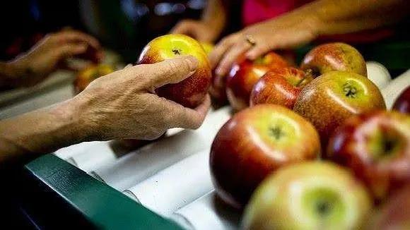 农产品溯源网_农业溯源管理平台_农业溯源系统模块
