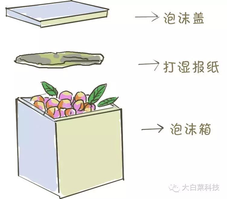 布吉农批中心_布吉农产品中心批发市场_布吉农产品批发市场地址