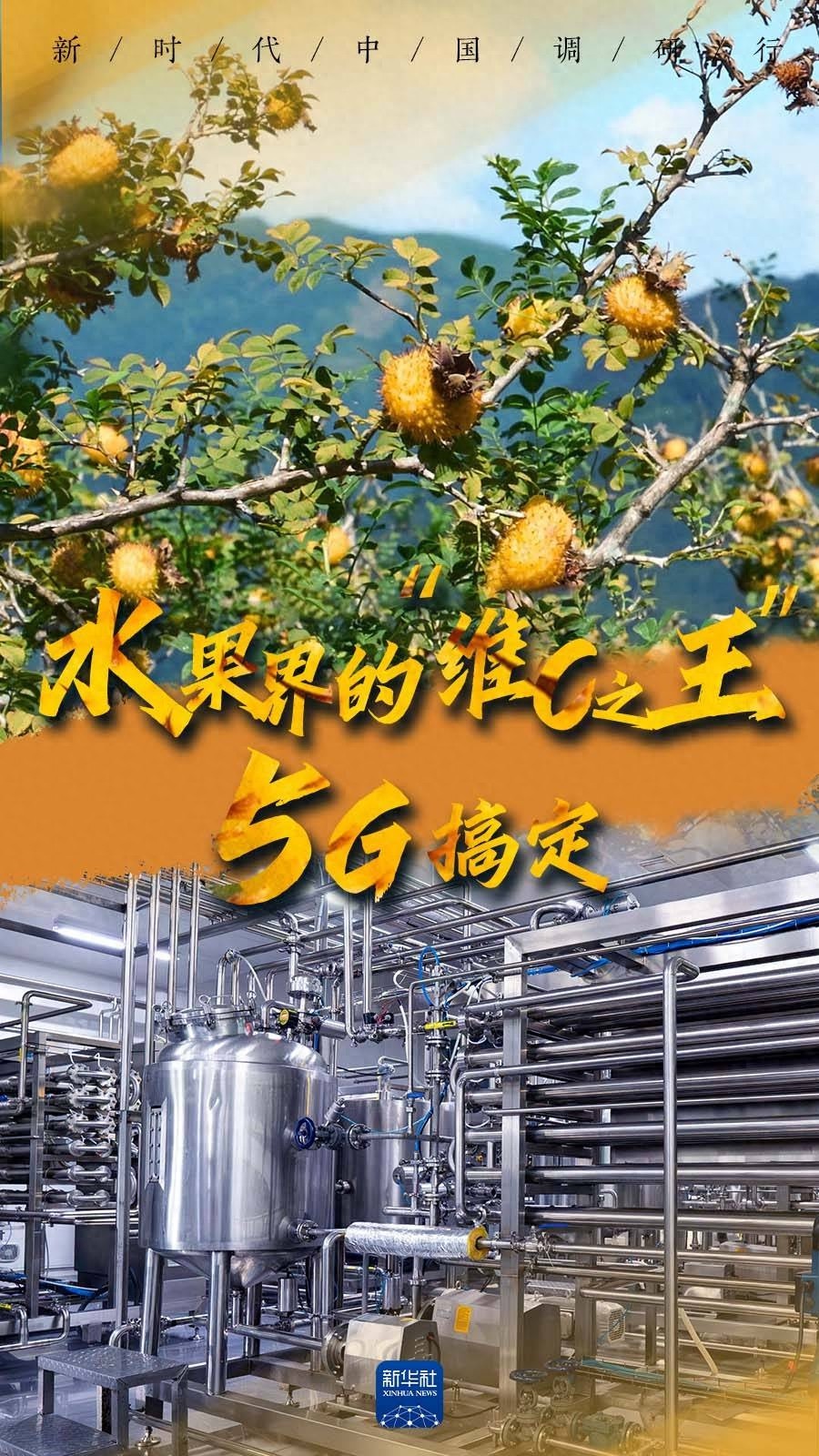 贵州西部农资有限公司_贵州西部农产品_贵州西部农产品物流园