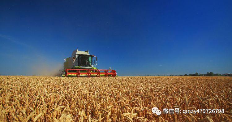 农产品网络营销的含义_特色农产品网络营销_网络农产品营销的优势和劣势