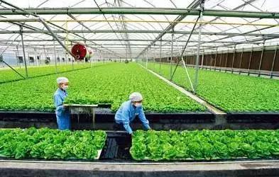农产品初加工补贴_农产品产地初加工补助项目申报_农产品产地初加工补助