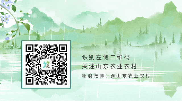 农产品初加工包括_农产品初加工是什么行业_农产品初加工