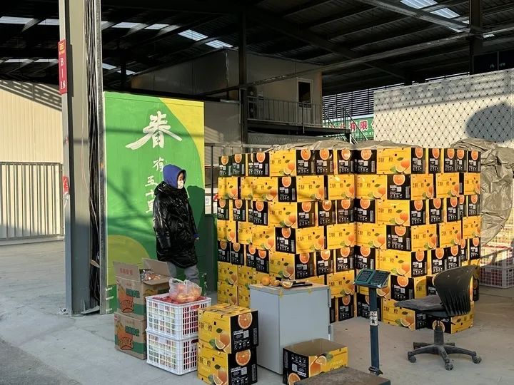 山东农业产权交易中心_山东农产品交易网_山东农交所