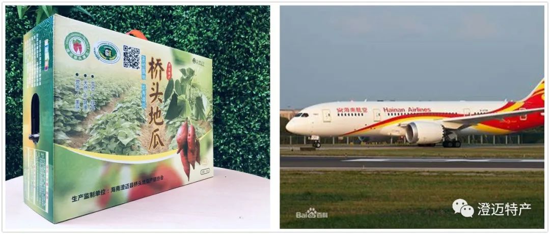 桥头地瓜与海南航空品牌价值对比：农产品品牌的重要性探讨