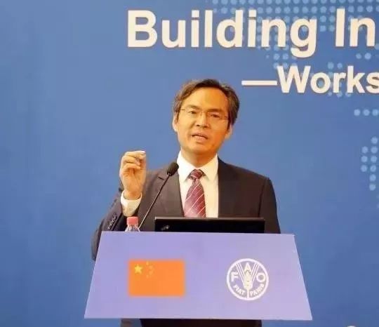 中国农业品牌目录2019：300个特色农产品区域公用品牌的价值评估与意义