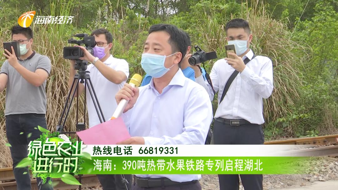 海南生鲜农产品冷链物流_海南农物流冷链产品销售_海南农产品冷链物流