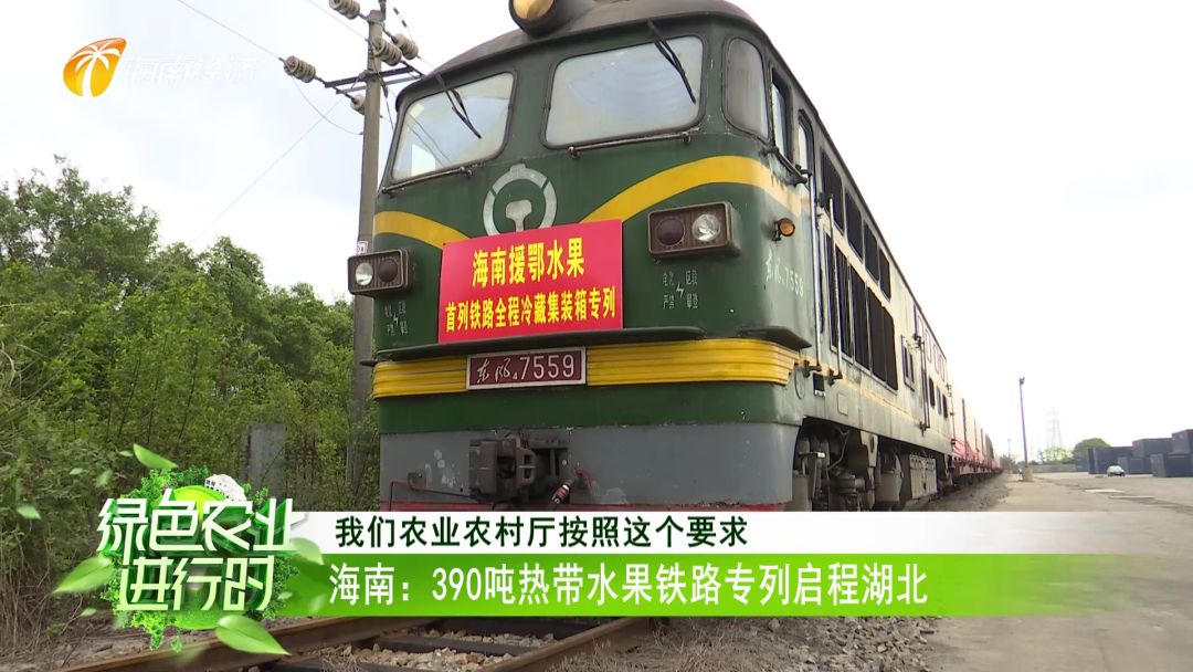 海南生鲜农产品冷链物流_海南农物流冷链产品销售_海南农产品冷链物流