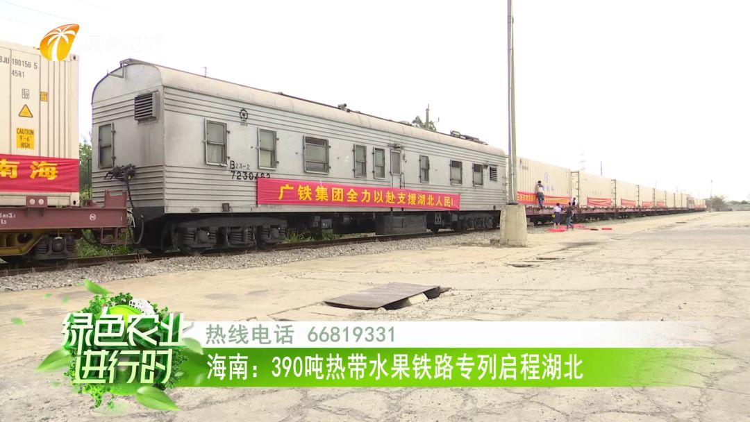 海南农物流冷链产品销售_海南生鲜农产品冷链物流_海南农产品冷链物流