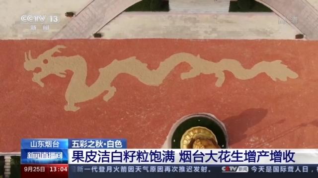 国家地理标志农产品_地理标志农产品的概念_国家地理标志农产品有哪些