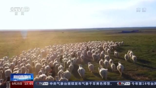 国家地理标志农产品有哪些_地理标志农产品的概念_国家地理标志农产品