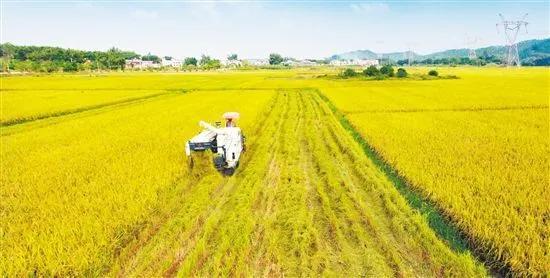 地理标志农产品的概念_国家地理标志农产品有哪些_国家地理标志农产品