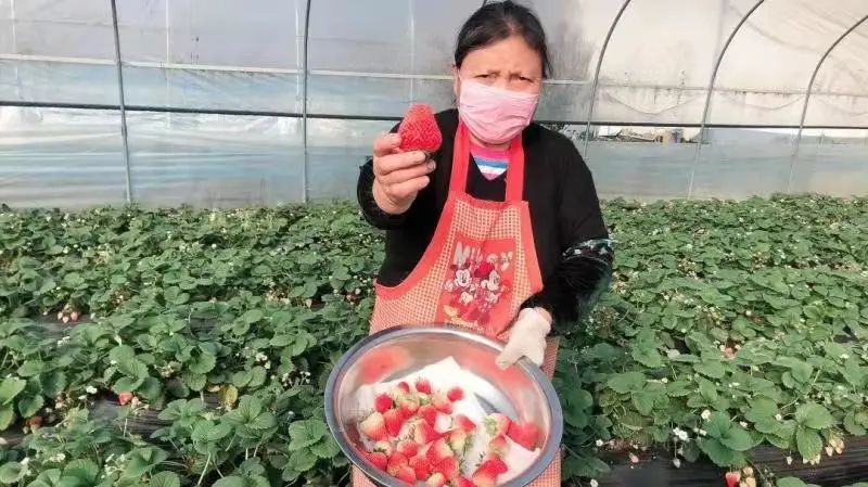 农产品订单员招聘骗局_农产品订单员是真是假_农产品订单员靠谱吗