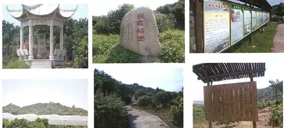 国家农产品地理标志_国家地理标志农产品有哪些_地理标志农产品的概念
