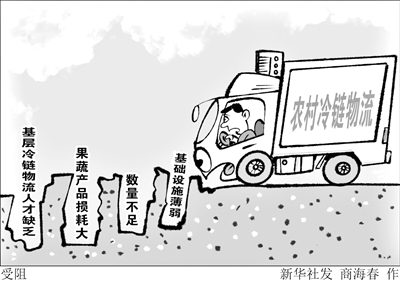 中西部农村冷链物流建设现状及挑战：基础设施薄弱与人才缺乏问题亟待解决