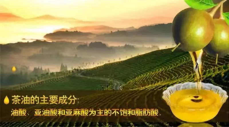 中国地理标志农产品_我国地理标志农产品有哪些_地理标志农产品是什么意思