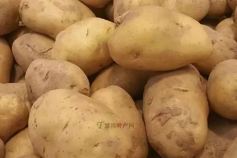 中国地理标志农产品_地理标志农产品是什么意思_我国地理标志农产品有哪些